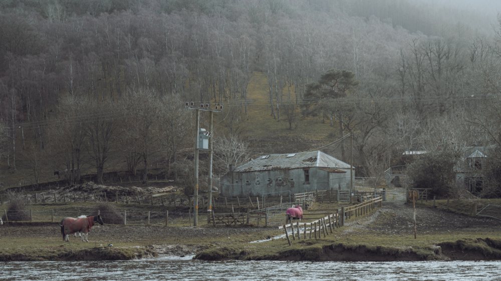 Farmstead by the Tweed