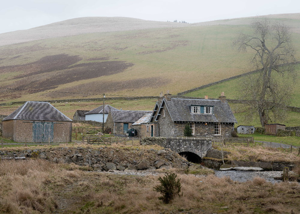 Farmstead