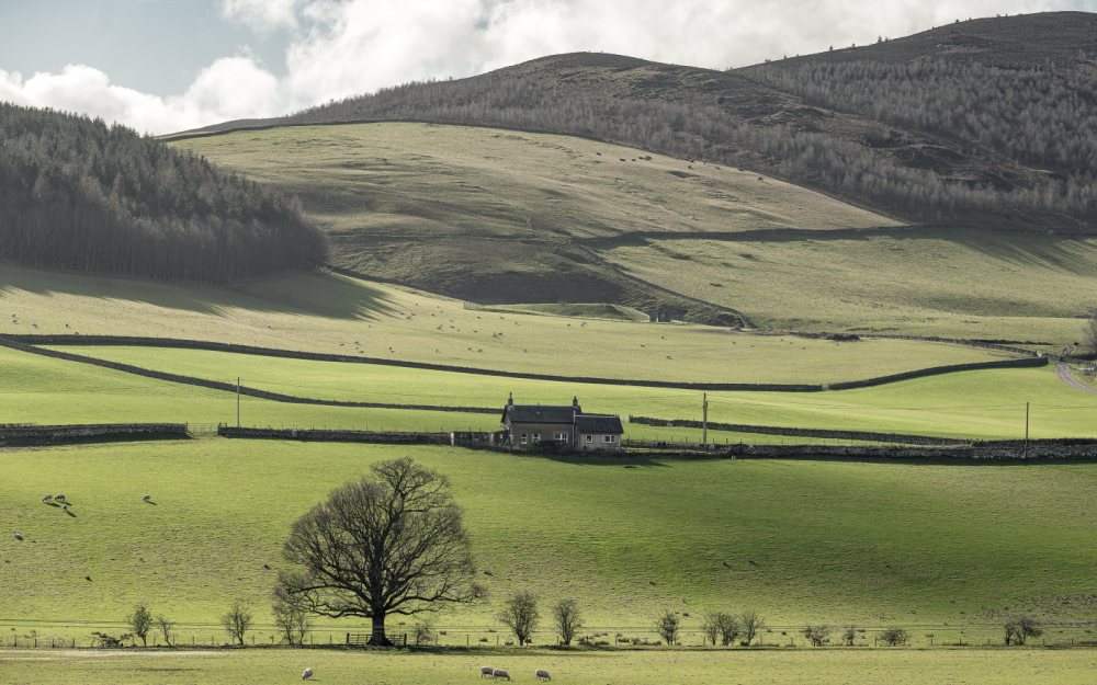 Rural