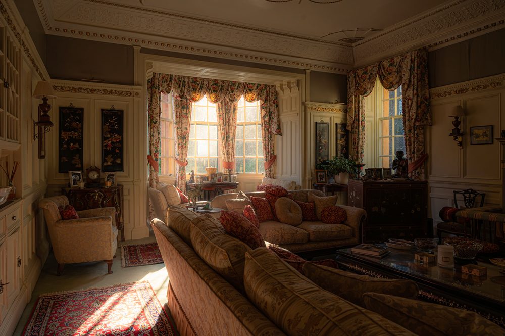 Deep sofas and bookcases under window light. Sitting room
